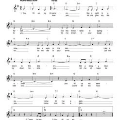 Hal Leonard 70 Classic Songs Book Books & AV