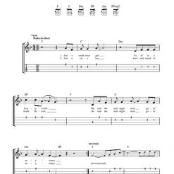 Hal Leonard First 50 Melodies You Should Play On Ukulele Books & AV