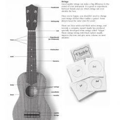 Hal Leonard Books & AV Absolute Beginners Ukulele - Omnibus Edition Book W/CD