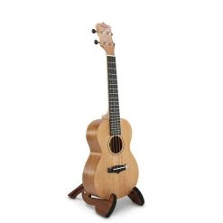 Enya Solid Top Mahogany Ukulele (25D Series) Ukuleles
