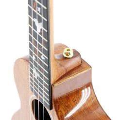 Enya All-Solid Mahogany Concert Ukulele (EUC-M6) Ukuleles