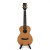 Enya All Solid Mahogany Ukulele (MS Series)