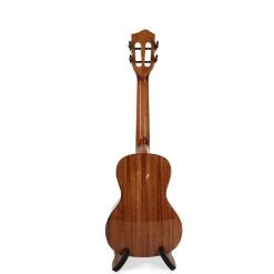 Kai Ukulele Kai Solid Spruce Top Concert Ukulele (KC-100SG)