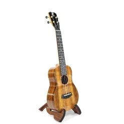 Kanile'a K-1 Concert (K-1 C)