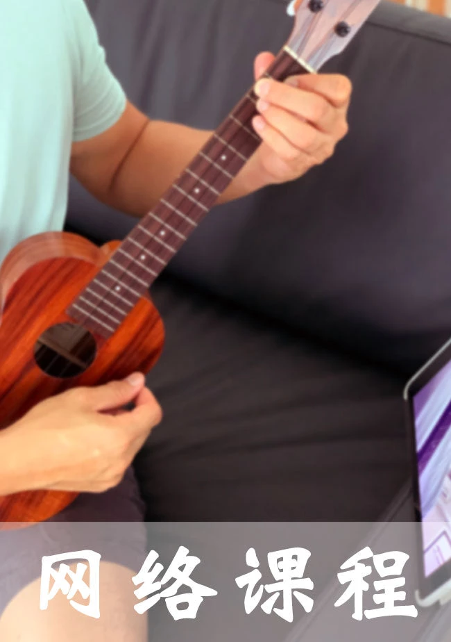 UM 尤克里里网络课程 (1-对-1) 中文版