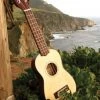 UM Module 1 Ukulele 12-Week Course (Pte In-person)