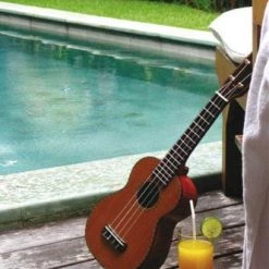 UM Lessons Module 2 Ukulele Course (1-to-1 In-person)