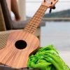 UKULELE MOVEMENT Live Online Ukulele Course MODULE 3 (1-to-1) Lessons